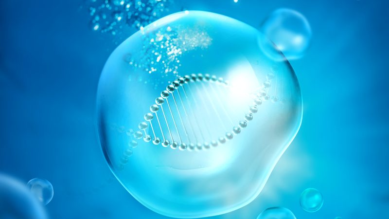 苏州生物药CDMO公司：揭秘生物药生产背后的关键力量**