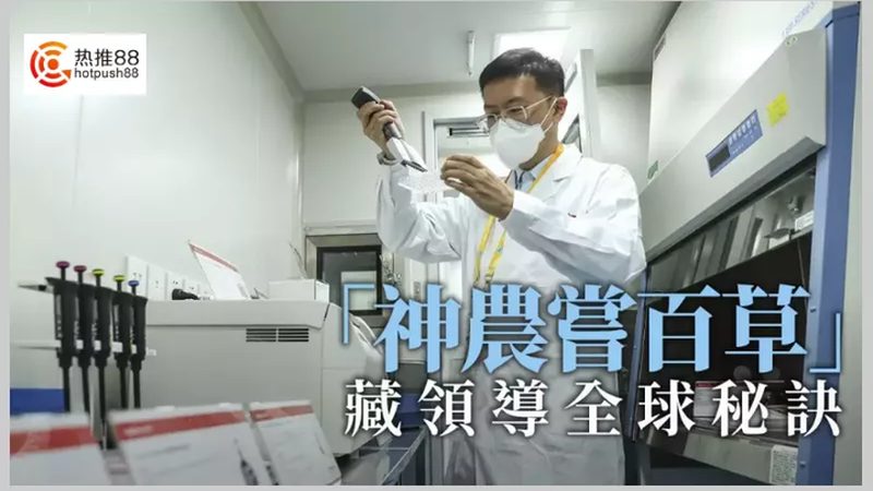 国产与进口实验室耗材：性能差异背后的考量