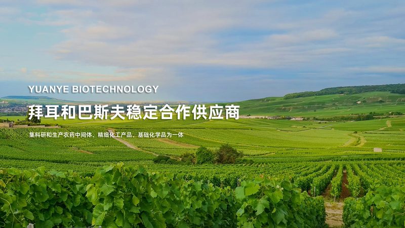 CDMO行业客户画像：解码医药研发背后的力量