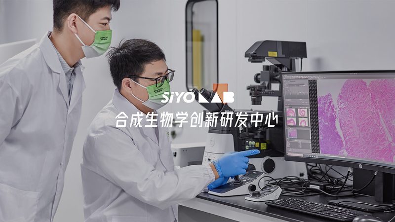 CRO优化，如何避免选择误区**