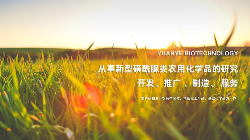 诊断试剂厂家十大品牌推荐