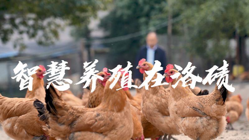 生物科技公司加盟，如何迈出成功的第一步？**