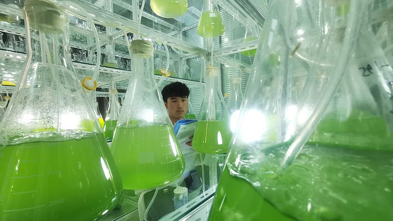 构建CRO数据分析流程团队的四大关键步骤